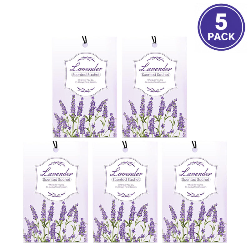5 pcs -Perfect for Starter Storage